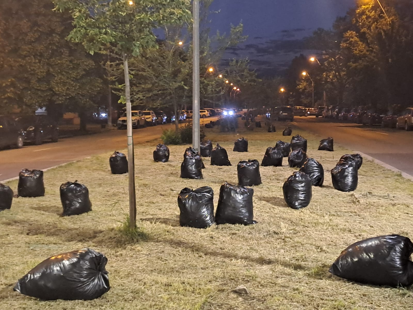 Poza zilei. Noile ornamente de peluză din Aviaţie