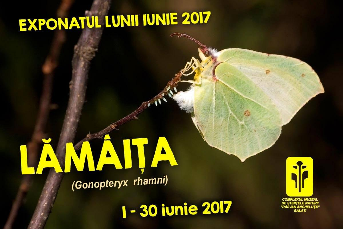 EXPONATUL LUNII iunie la Complexul Muzeal de Ştiinţele Naturii din Galați