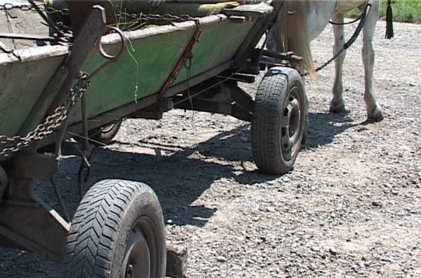 Un om a MURIT din cauza unui căruţaş aflat în prag de COMĂ ALCOOLICĂ