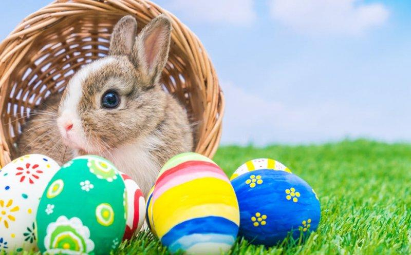 Iepurașul de Paște și ouăle vopsite, în topul Google