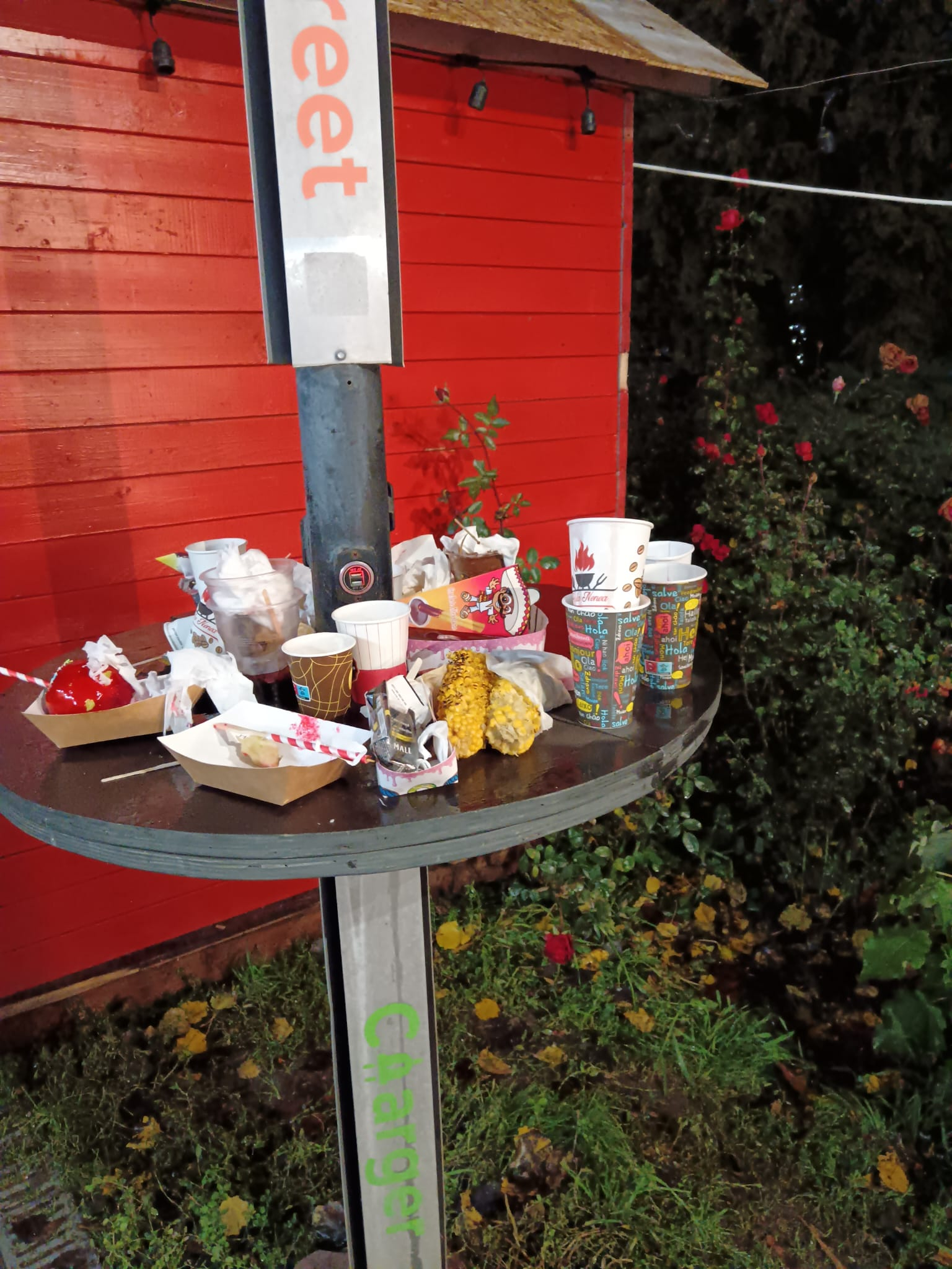 Poza zilei. Coş de gunoi improvizat în Grădina Publică