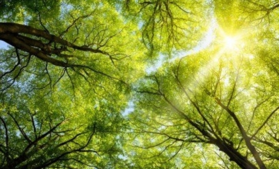 PROGNOZA METEO până pe 21 iulie. Cât de cald va fi în fiecare regiune a ţării