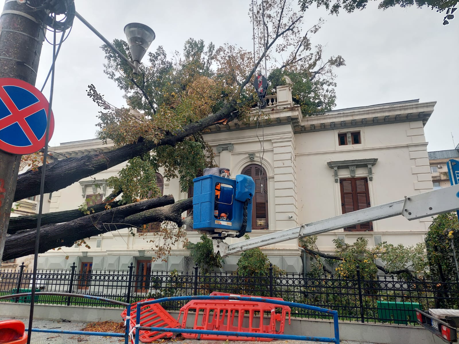 Arborii putrezi ai Galațiului au pierdut meciul cu ”ciclonul Ashley”