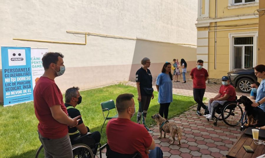 Uimitoarele poveşti ale foştilor maidanezi deveniţi căţei de terapie