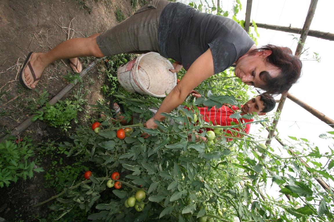 Tehnica producătorului: Mai ieftin, ca să se vândă toată marfa