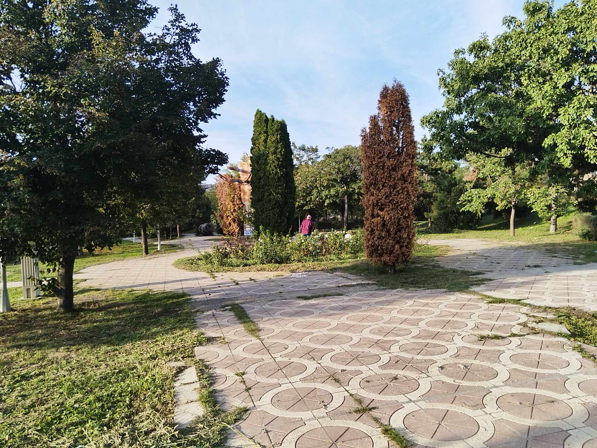 În parc, tăia trandafirii ca la el acasă
