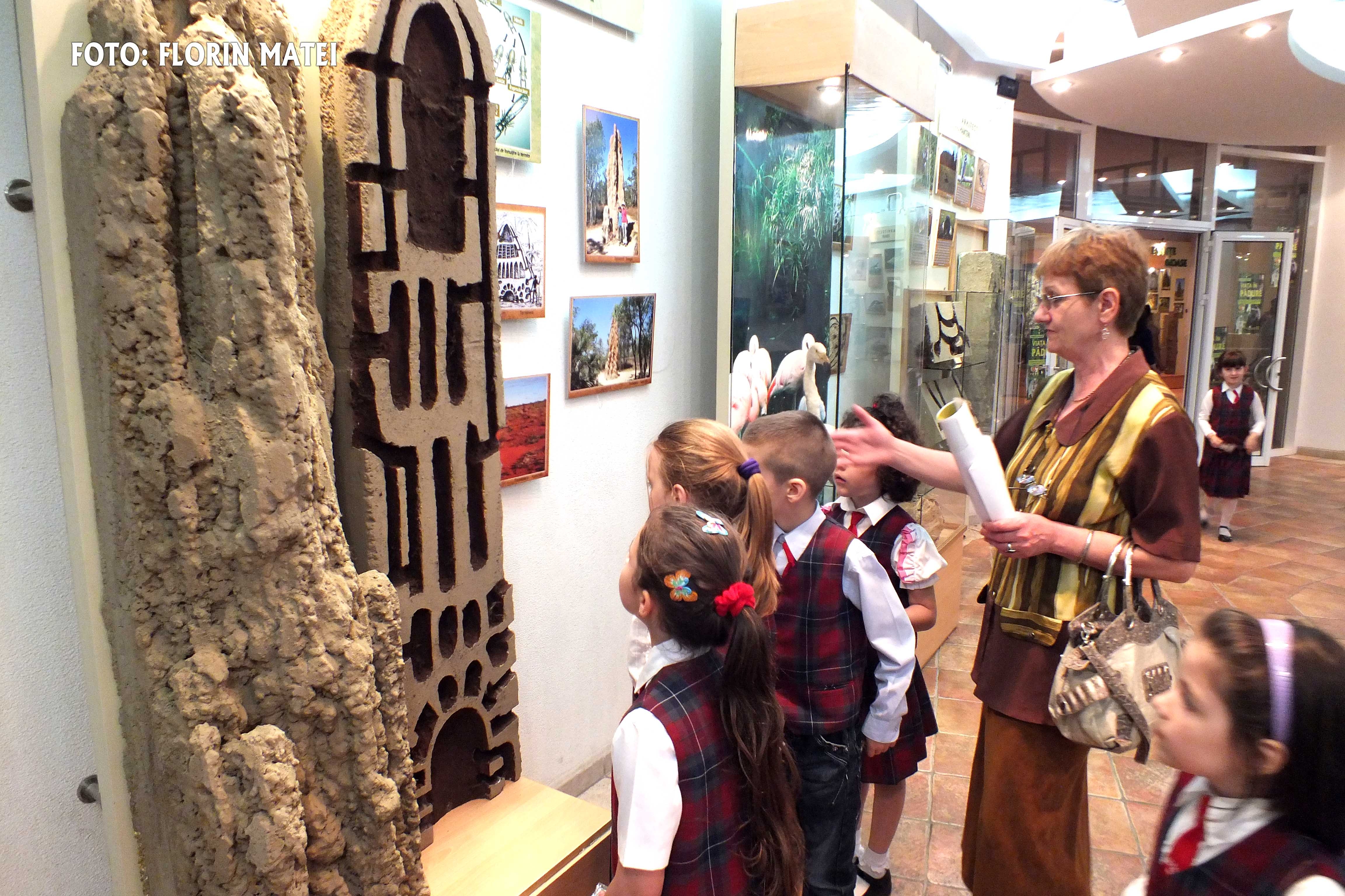 "Artizanii naturii" - Necuvântatoarele dau clasă arhitecţilor