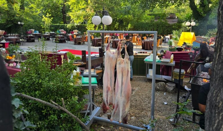 Politica și presa de mare porc la proțap