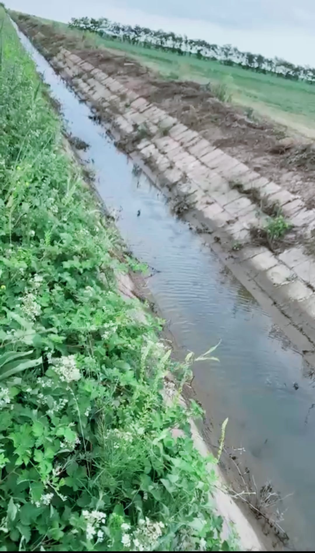 După mai bine de un deceniu, apă pe canale, în zona Barcea
