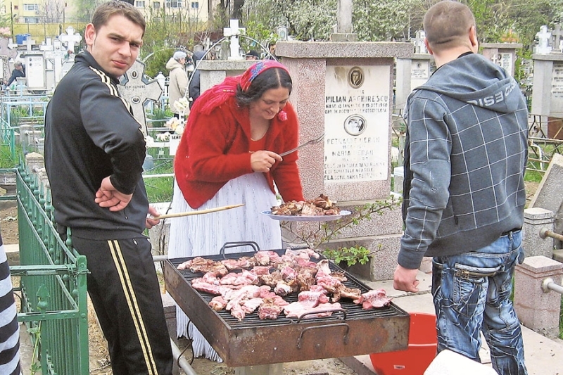 Preşedintele Băsescu a promulgat Legea picnicului