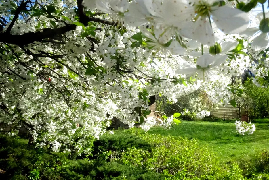 Meteo. Luni cu soare, marți cu frig