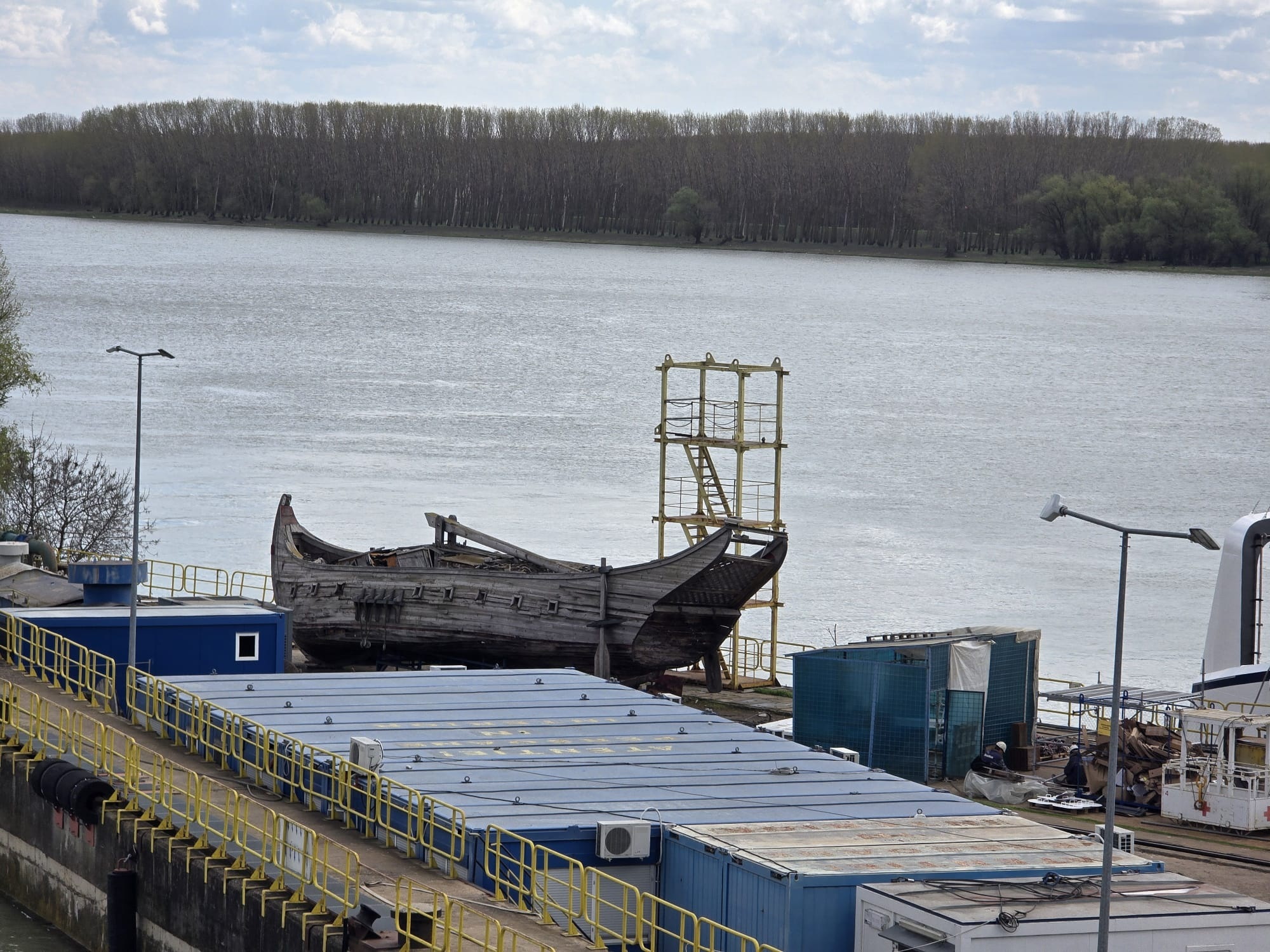 Pânzarul Moldovenesc moare pe malul Dunării, uitat de toată lumea