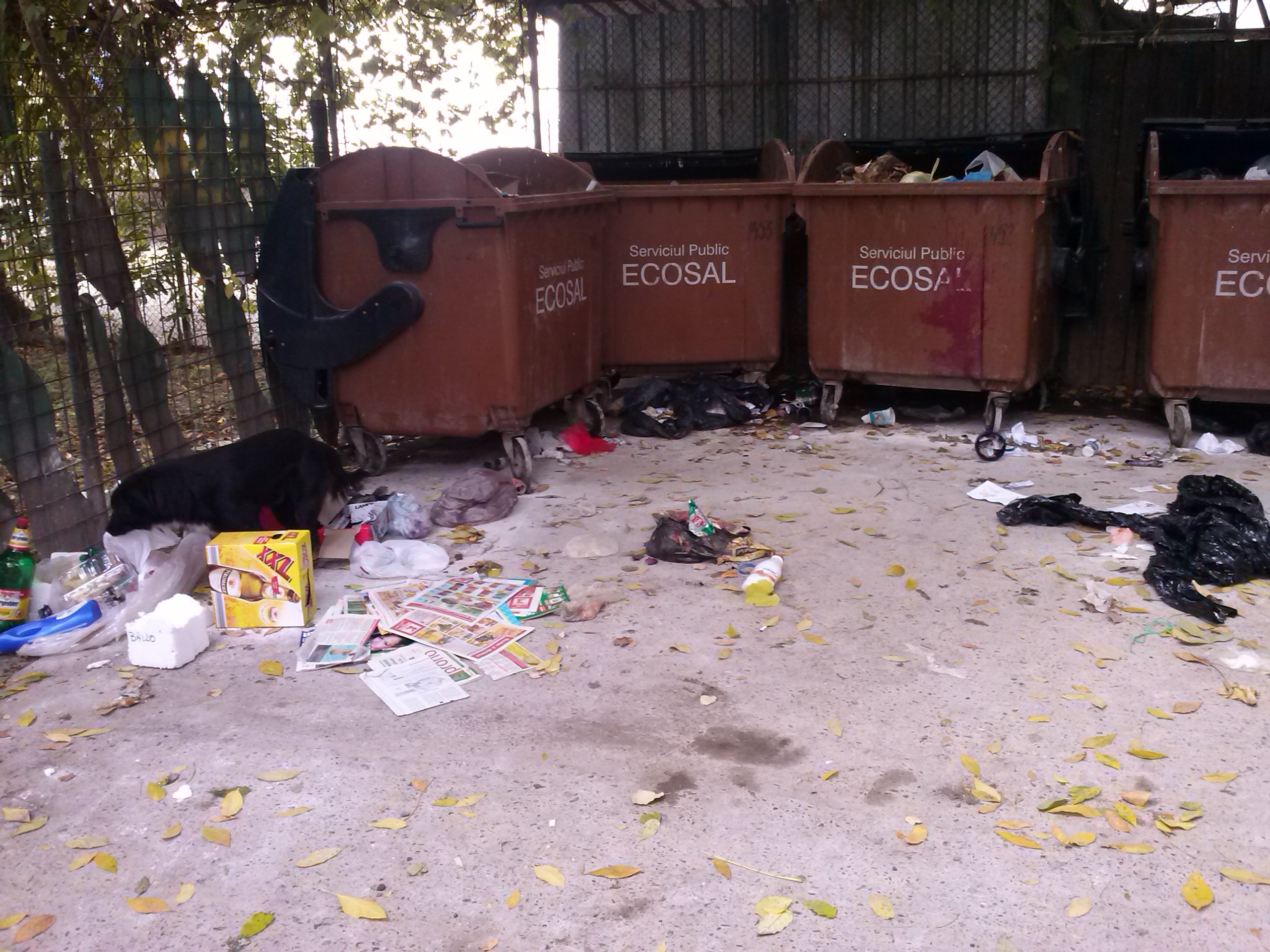 Gălăţenii vor puncte de depozitare a gunoiului mai sigure 