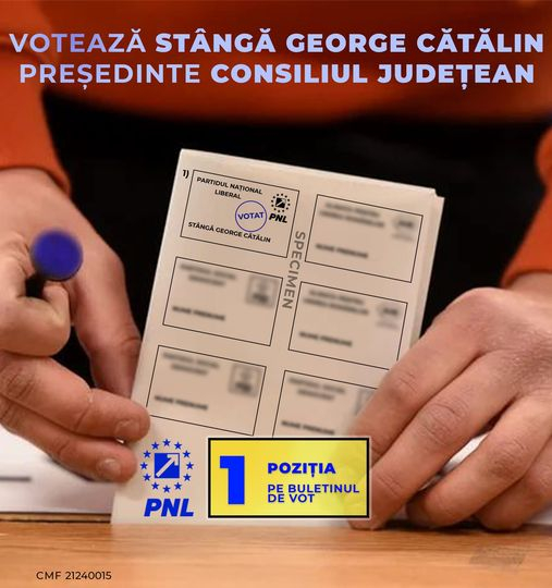 PNL Galaţi, în derivă. Vot de blam din partea propriilor adepți