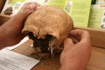 Cimitirul din ogradă