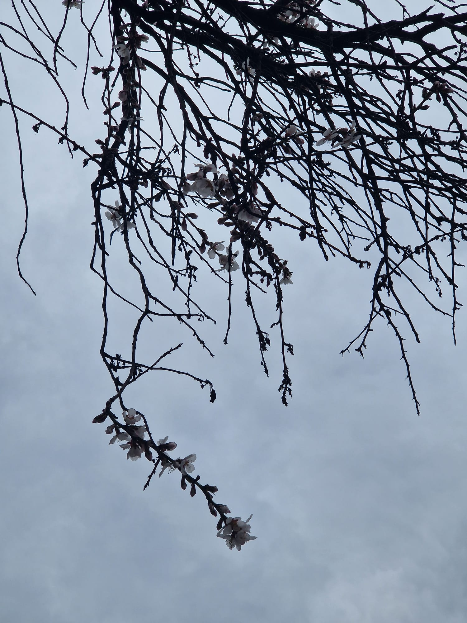 Vreme schimbătoare şi vânt puternic