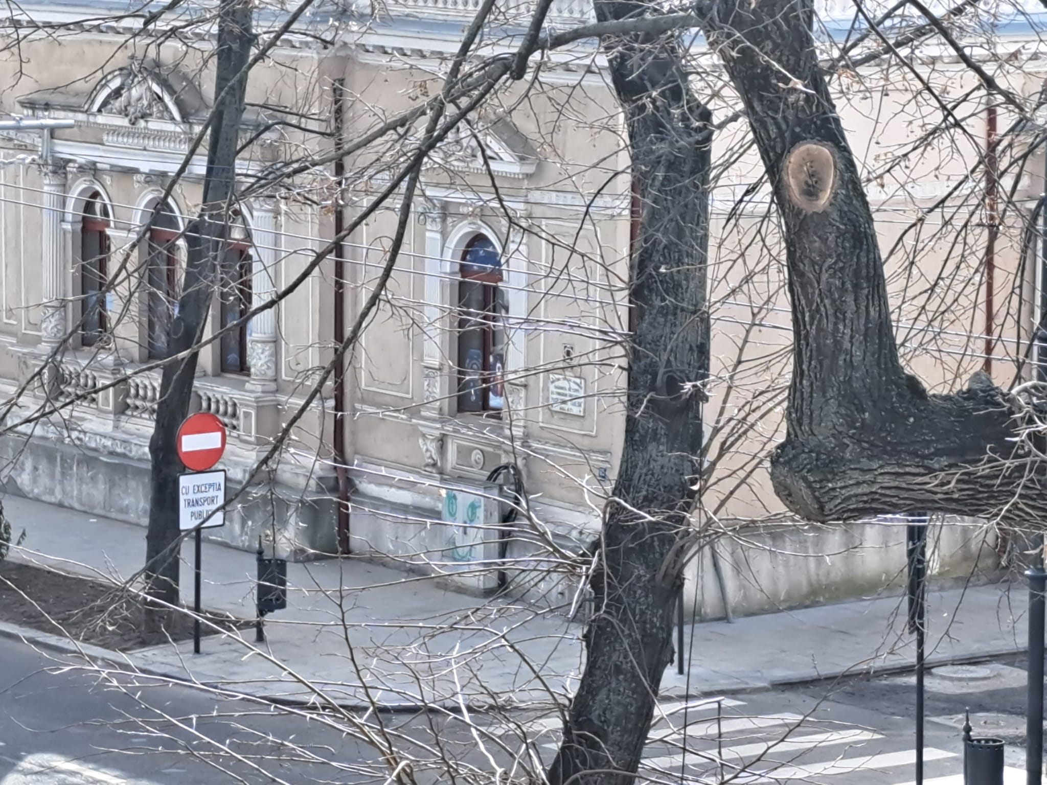 Misterul semnelor interzise