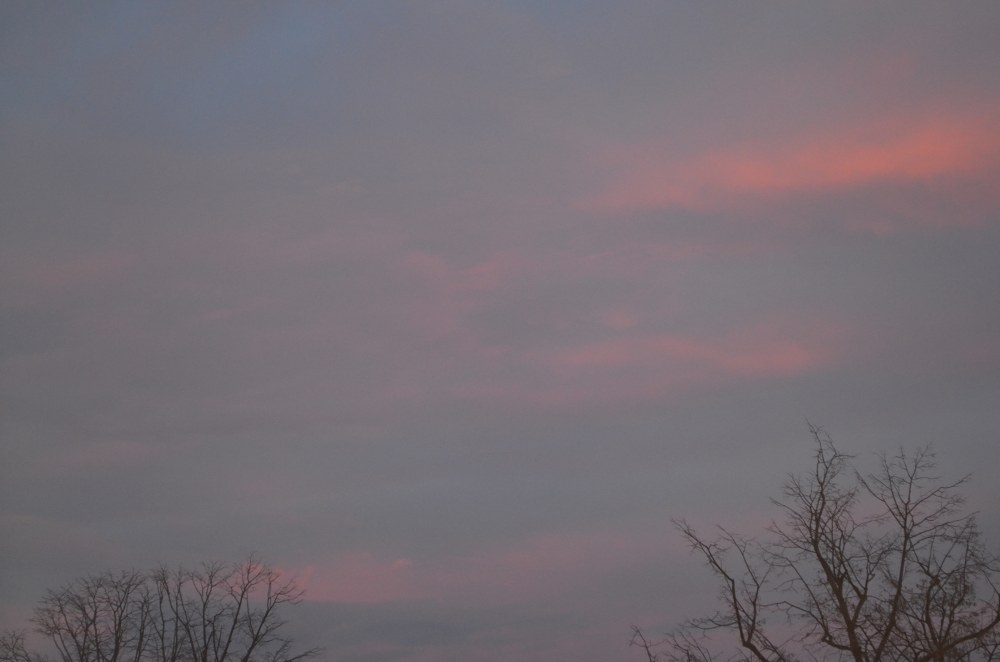 PROGNOZA METEO/ Cum va fi VREMEA luni la GALAŢI