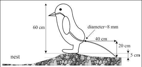 Cercetători în pană de idei: Cinci studii ştiinţifice lipsite de sens