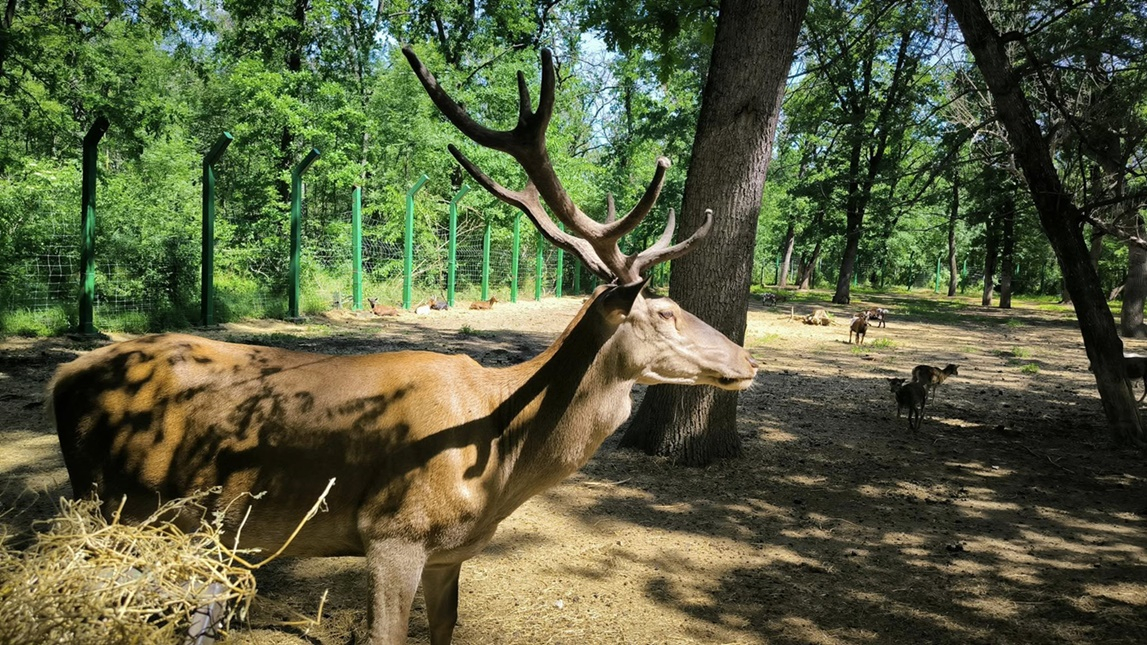 Grădina Botanică şi Grădina Zoologică vă aşteaptă. Carnet cultural gălăţean