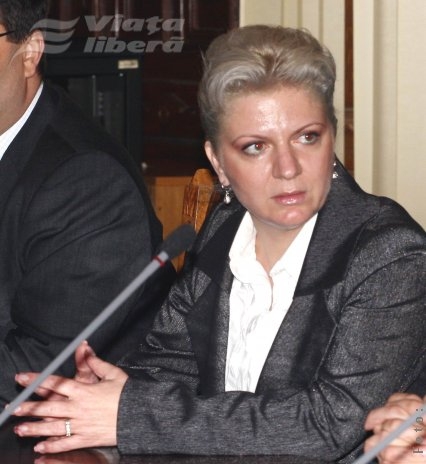 Bizarerii în declaraţii de avere