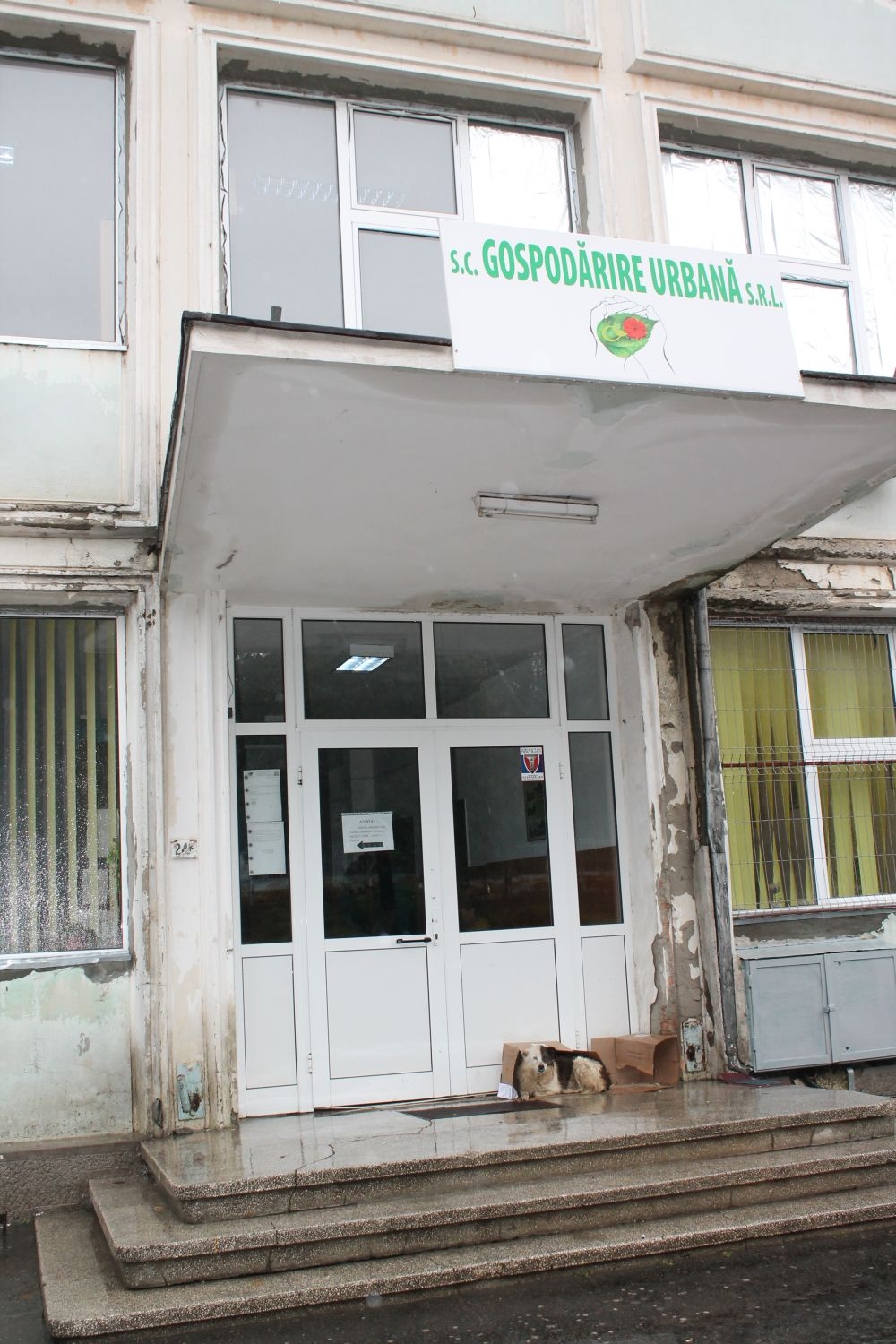 Când vom avea un NOU DIRECTOR la Gospodărire Urbană