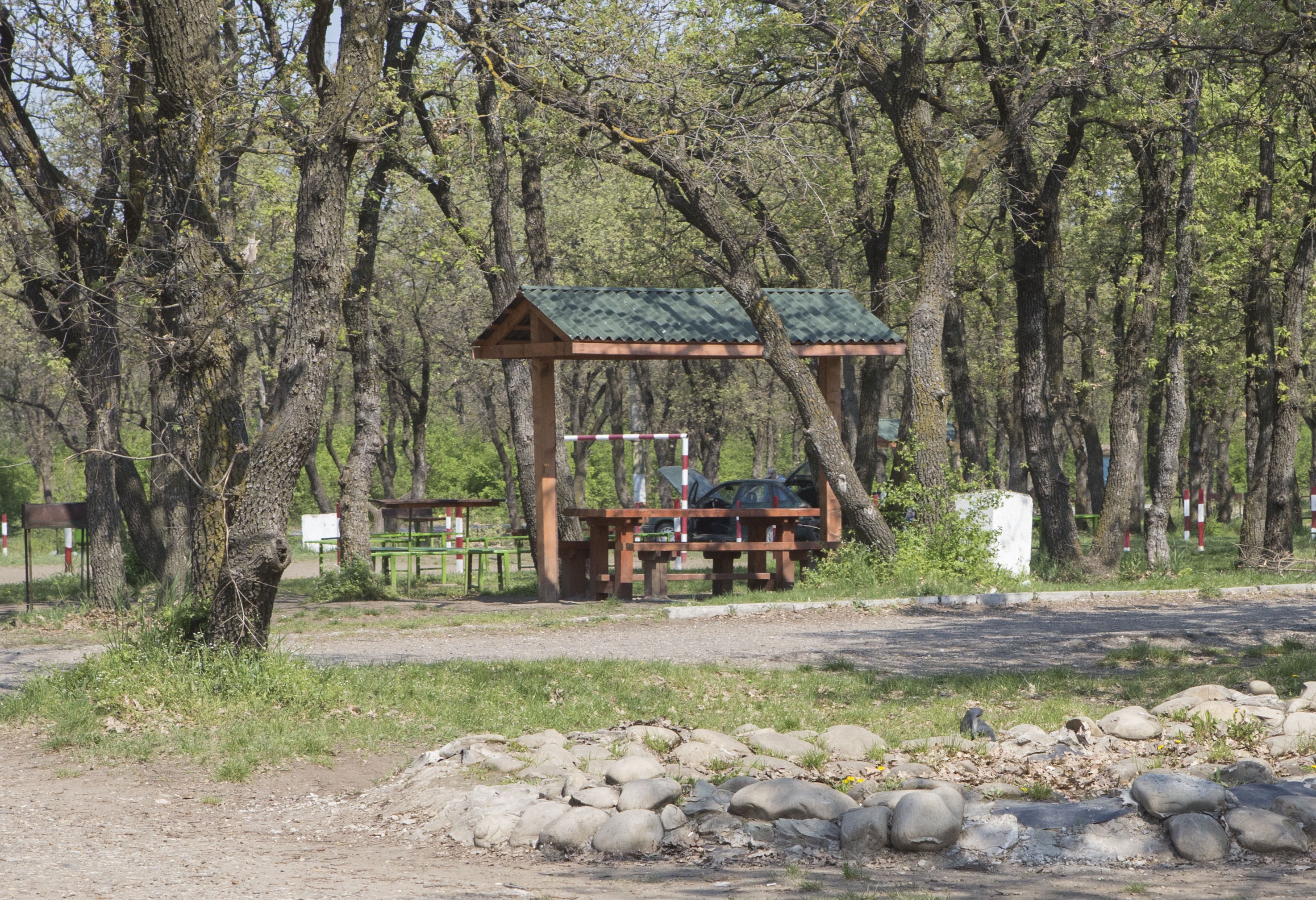 Unde putem FACE GRĂTARE de 1 MAI fără să luăm amendă (FOTO)