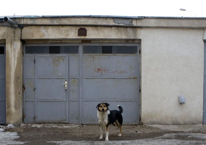 Aţi făcut beci sub garaj? Pierdeţi contractul, avertizează Primăria