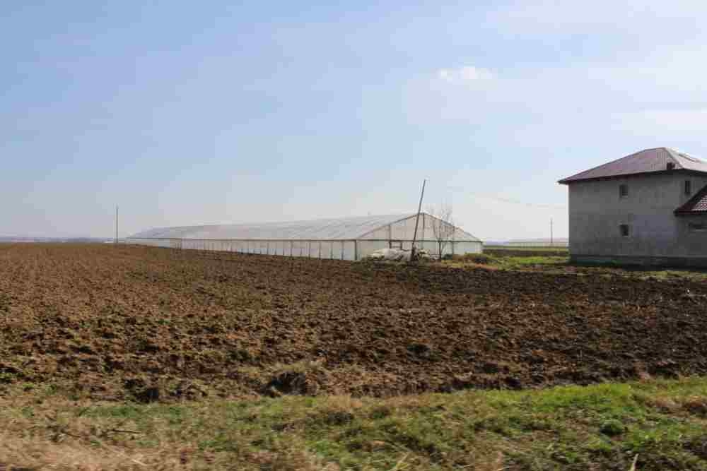 Oameni gospodari şi solarii cât vezi cu ochii, într-o comună gălățeană care „rivalizează cu Matca”