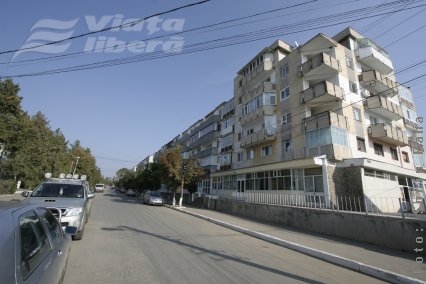 Elena Udrea a spus „Da”