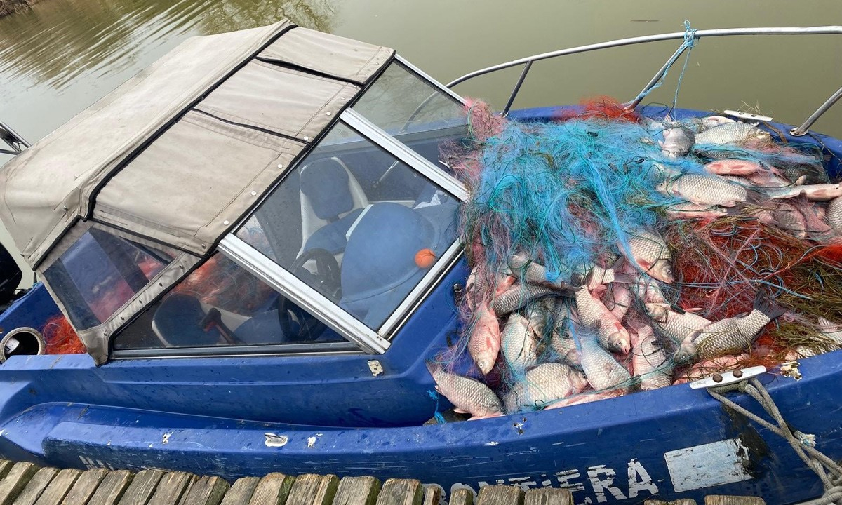 Garda de Mediu şi-a intensificat acțiunile antibraconaj pe Dunăre