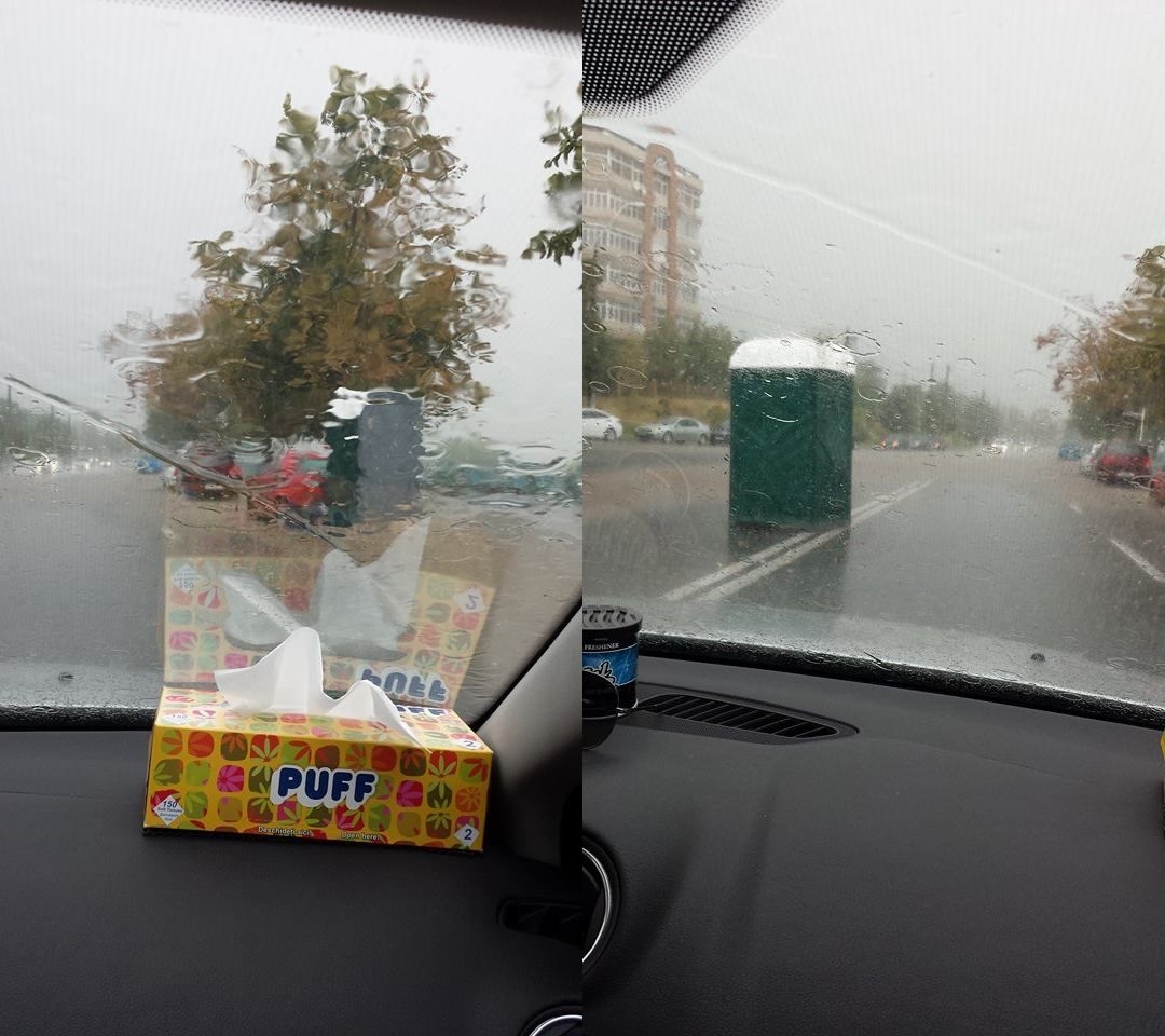 TOALETELE ECOLOGICE au luat-o la plimbare pe FALEZĂ