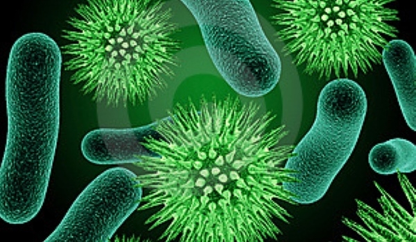 STUDIU/ Bacterii virulente pot să supravieţuiască o săptămână în avioane