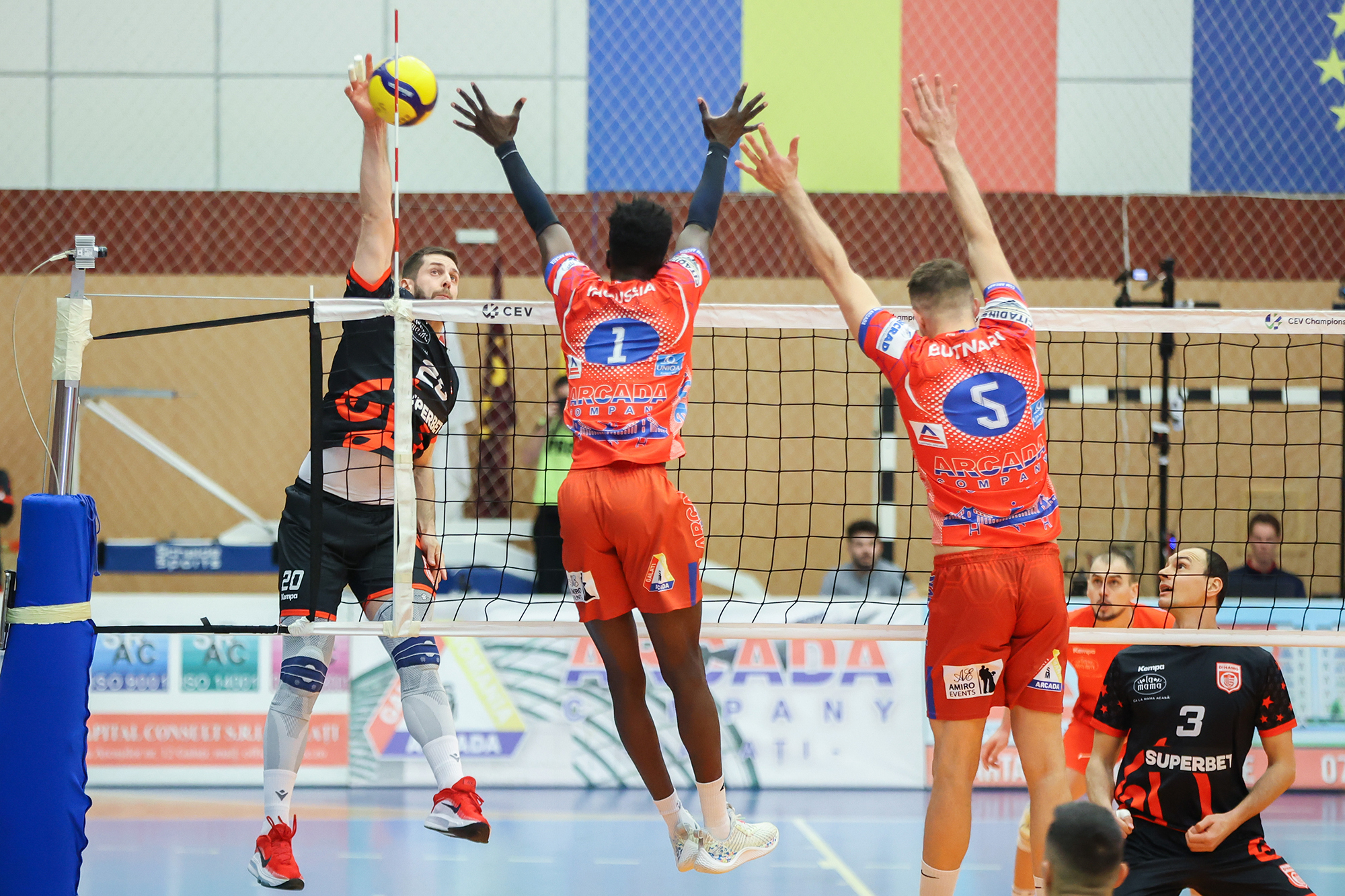 Voleiul ține interesul treaz