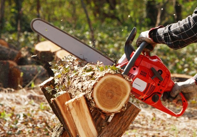 ACCIDENT CUMPLIT la pădure! Un bărbat s-a automutilat cu drujba