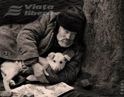 Victime ale „muşcăturii” frigului