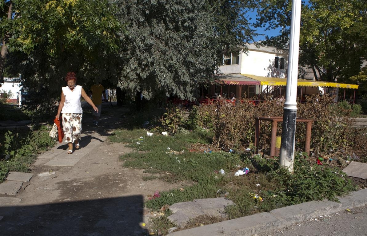 Scandal, câini şi mizerie în Micro 39 