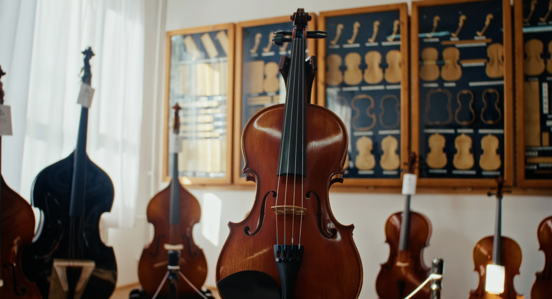 Povestea viorilor româneşti, la Discovery