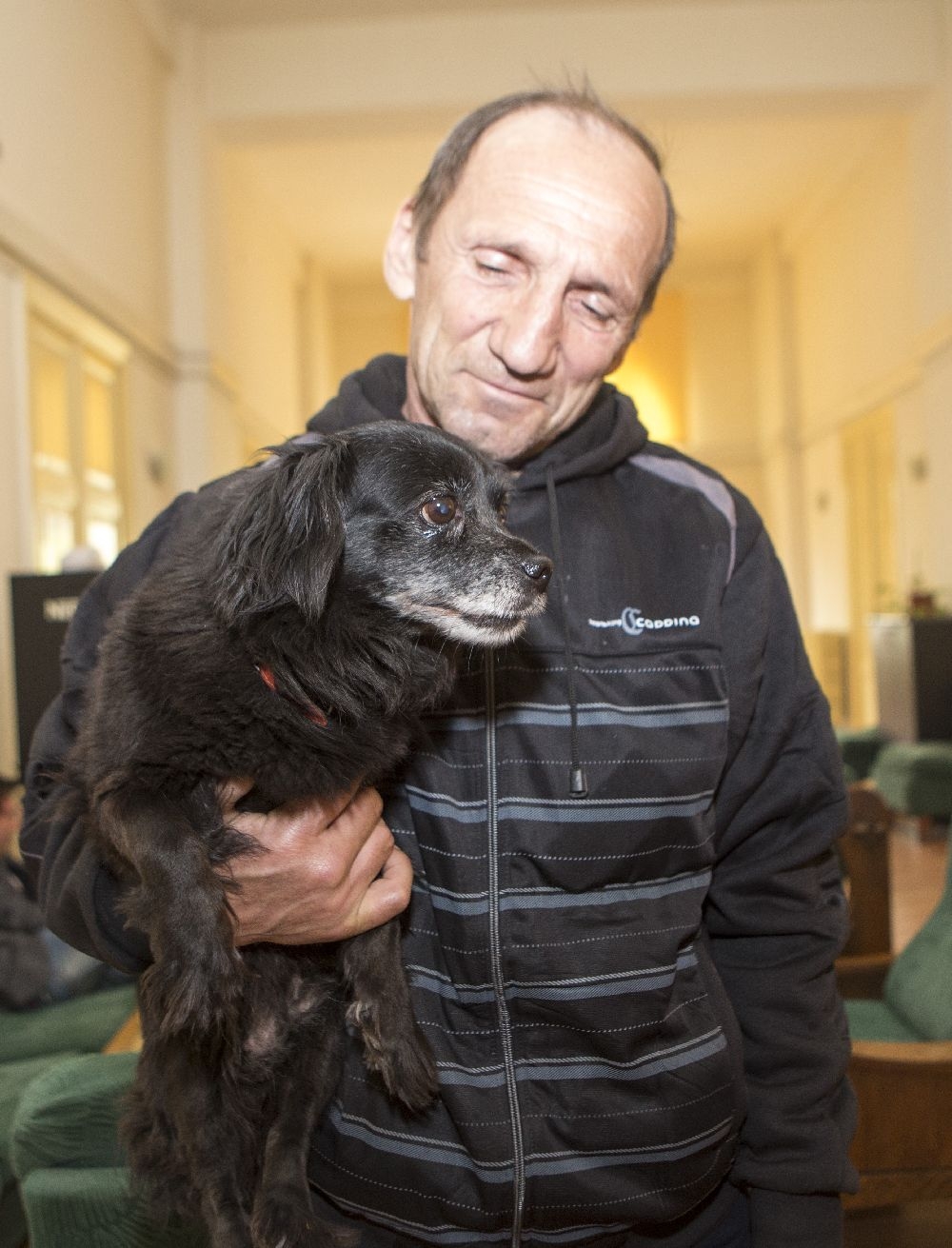 Amendă pentru un pechinez fără lesă într-un cartier plin de maidanezi