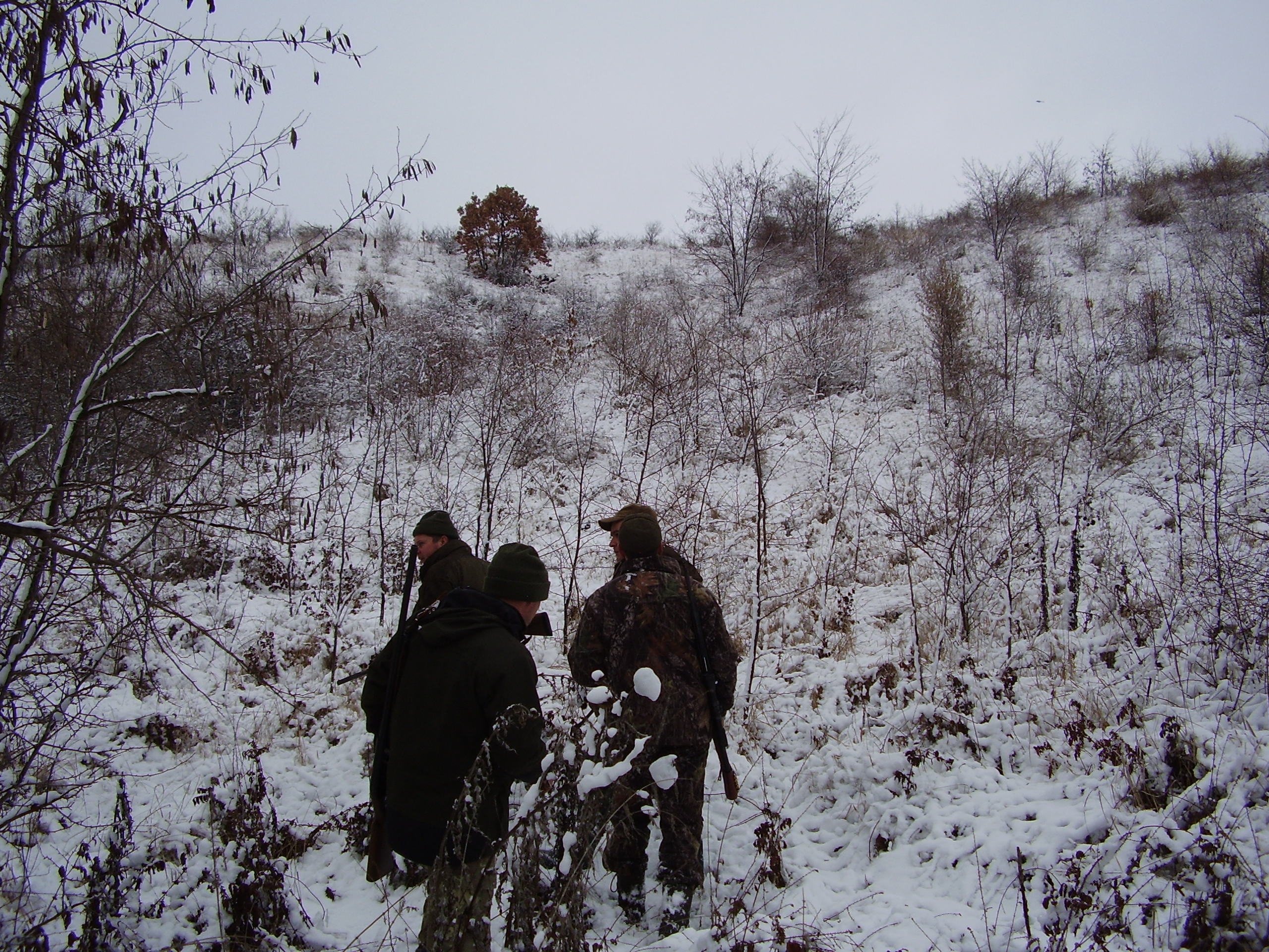 Preumblări cinegetice prin pădurea albă / Focuri de armă şi două jertfe 