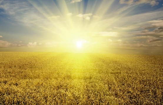 Temperaturi ridicate, până pe 16 septembrie