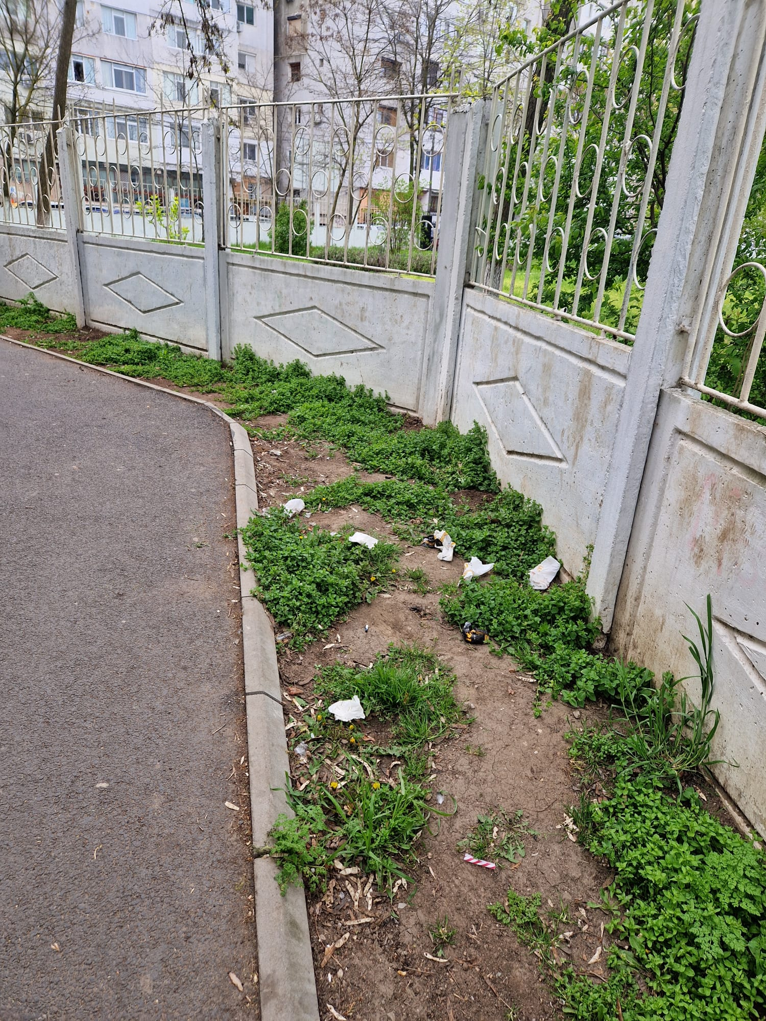 Poza zilei. Pauză de la bun simţ