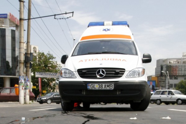 Instincte primare - Muşcată de nas într-un bar