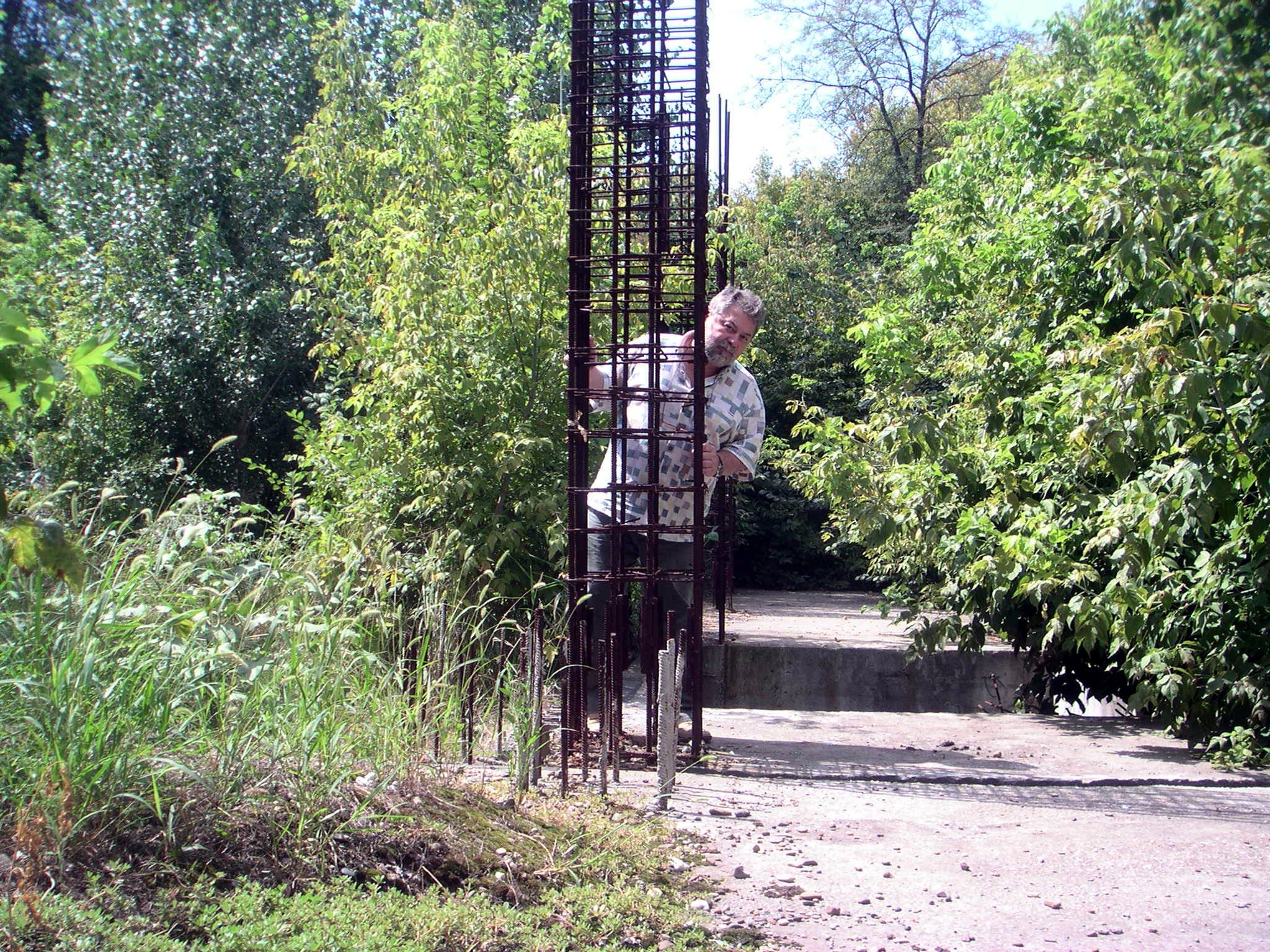Sala de spectacole a Centrului Cultural a ajuns o junglă  