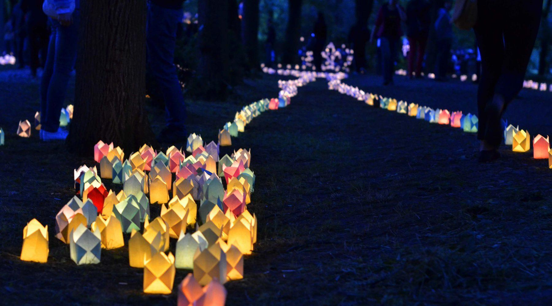 Festivalul Luminii, în Grădina Publică