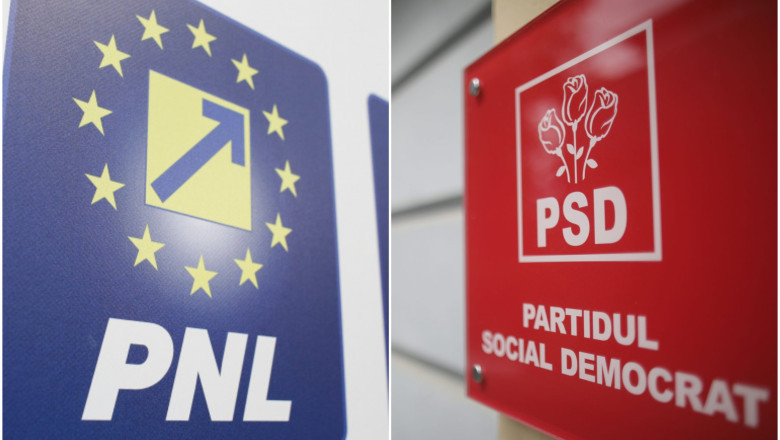 PNL cere PSD să propună un premier din partid și „să-și asume criza politică”