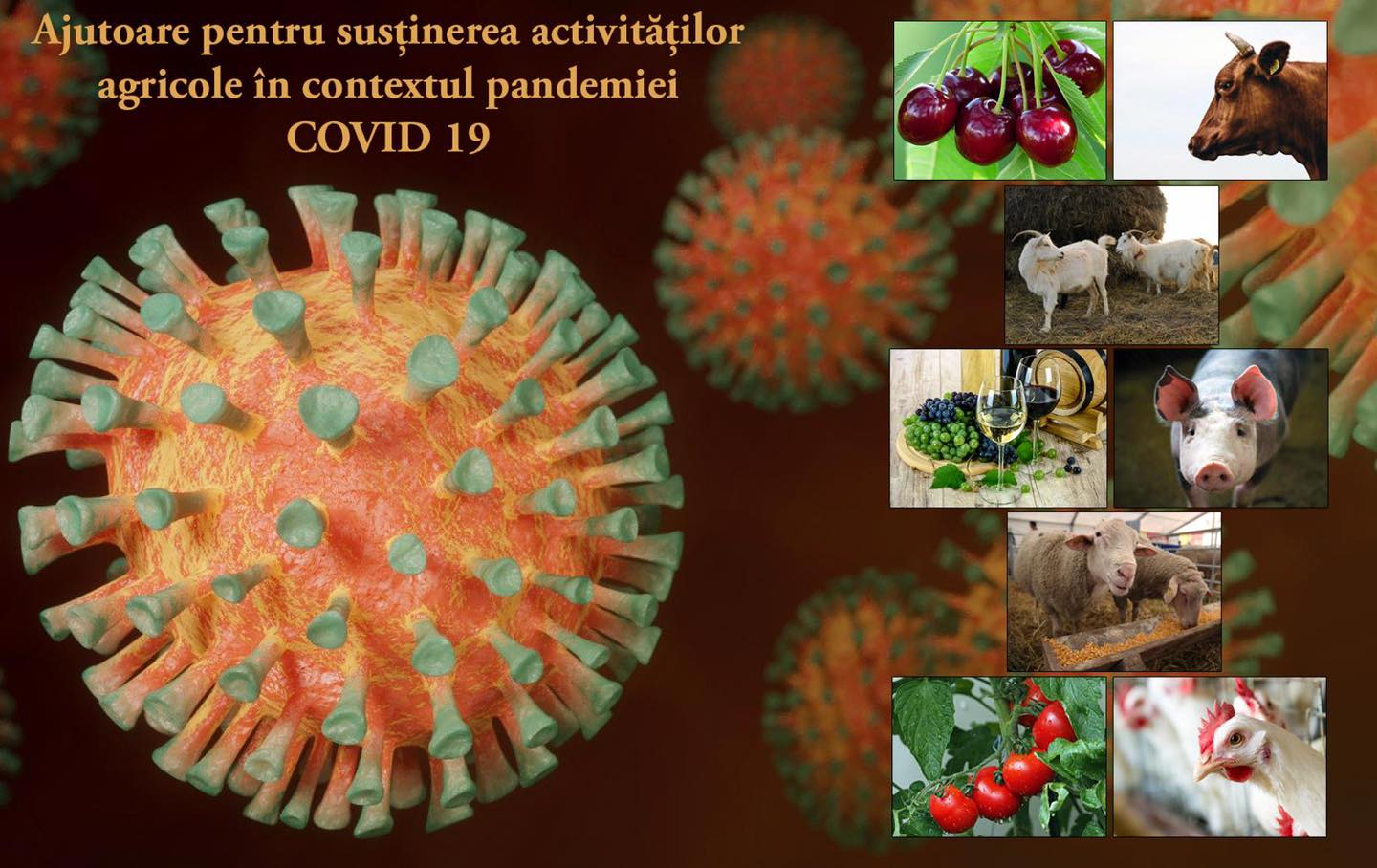 Plăți către fermierii afectați de pandemie și de secetă