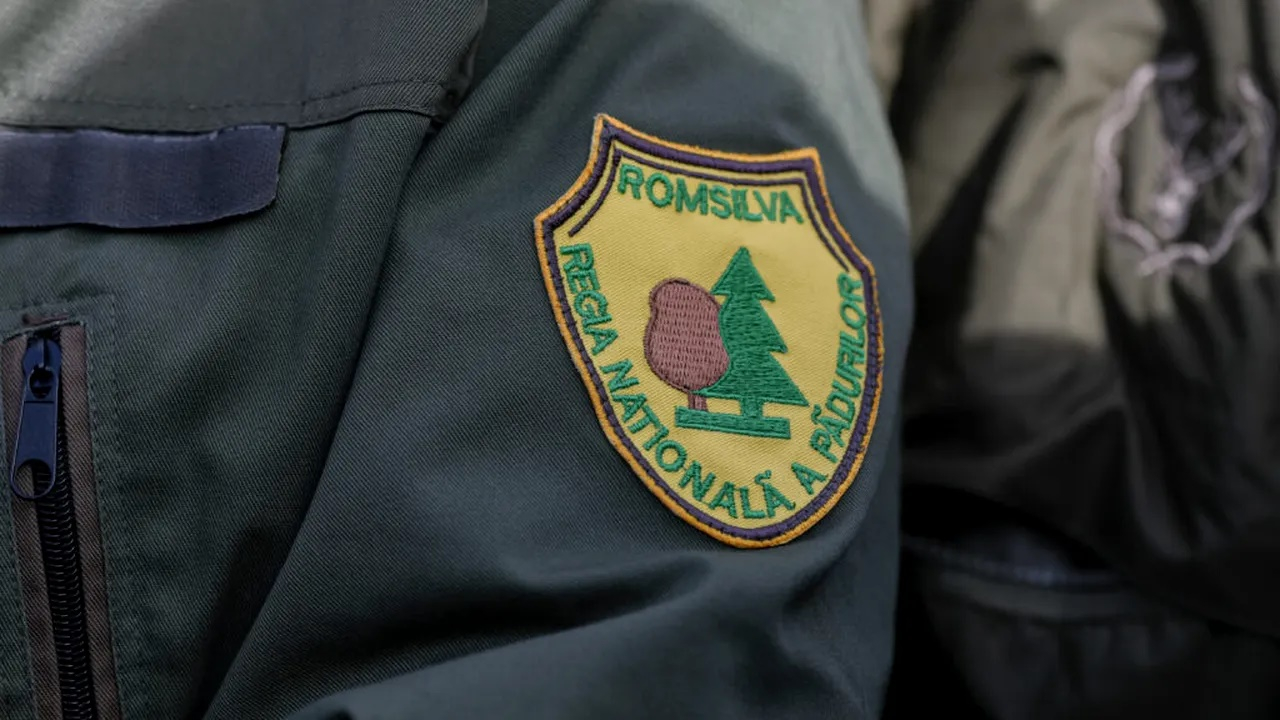 Pădurea arde, directorii iau calificativ „foarte bine”