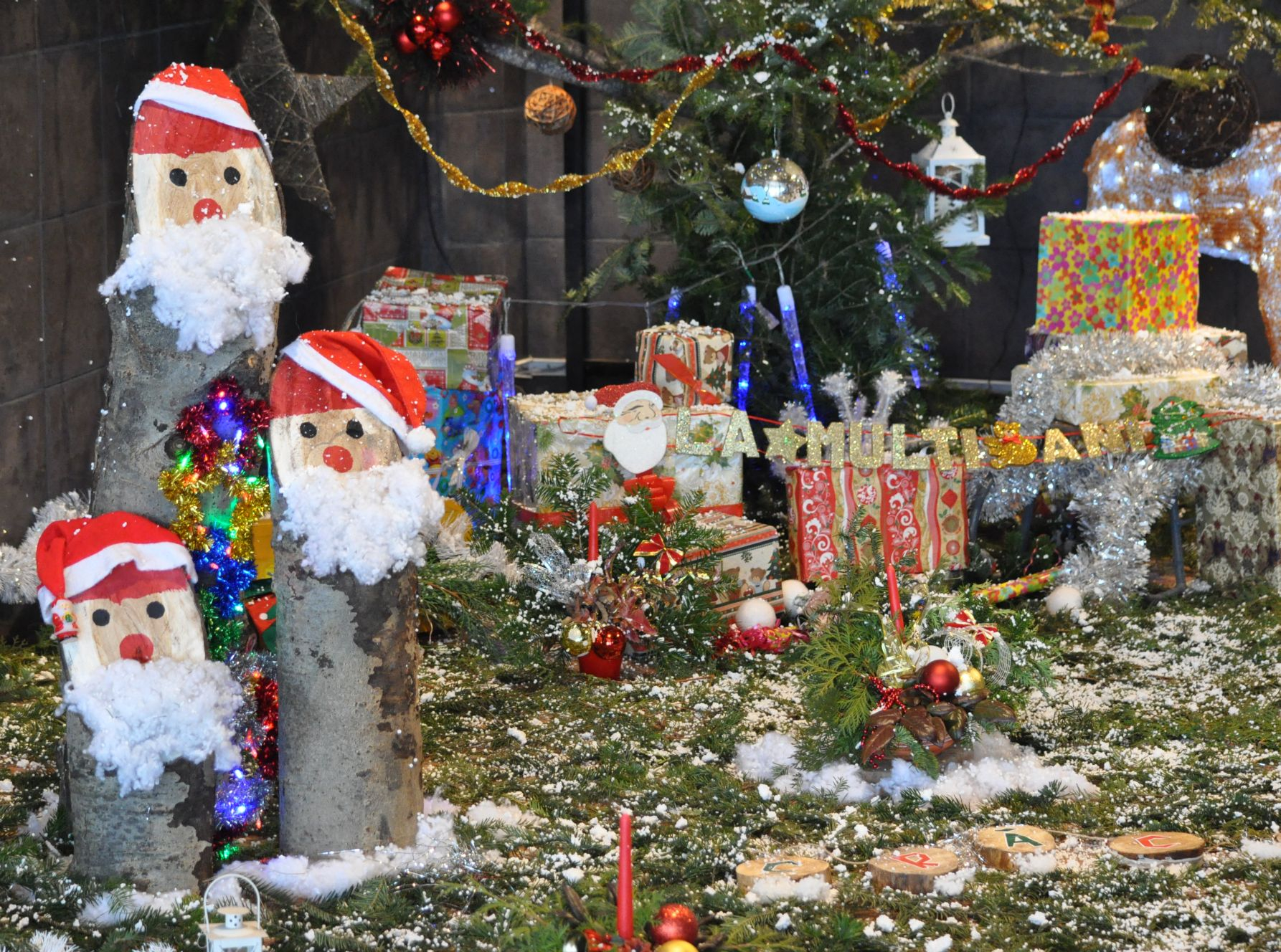 ”Vis de iarnă”, la Complexul Muzeal de Ştiinţele Naturii. Vernisaj