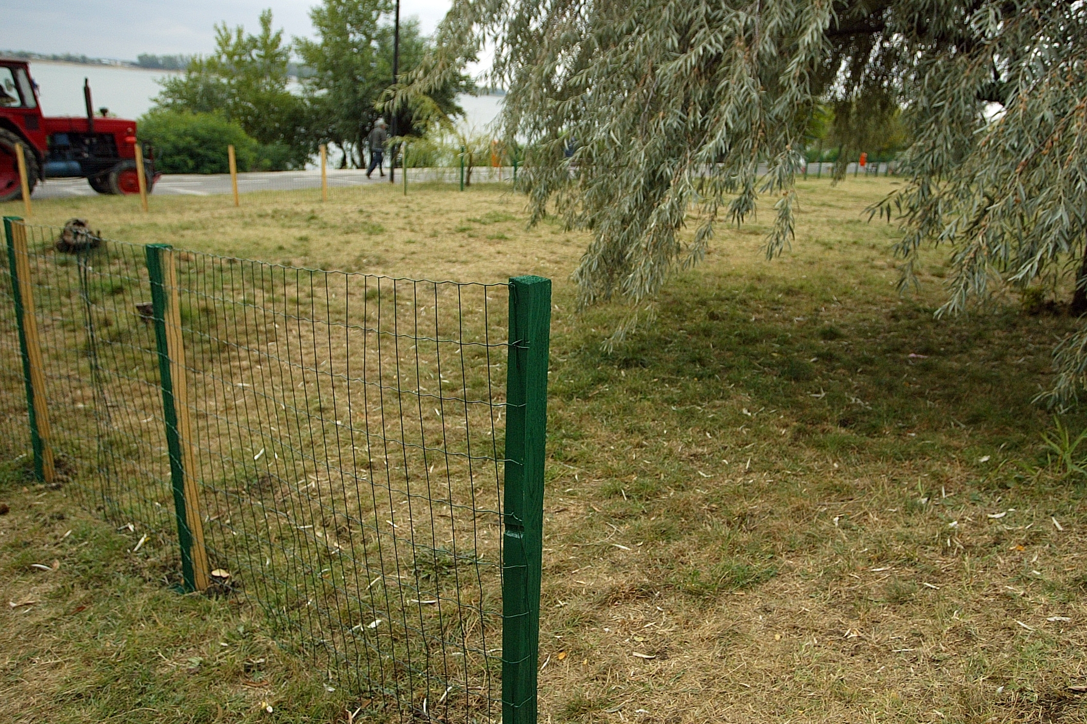 De la parc pentru câini la ţarc pentru naivi    